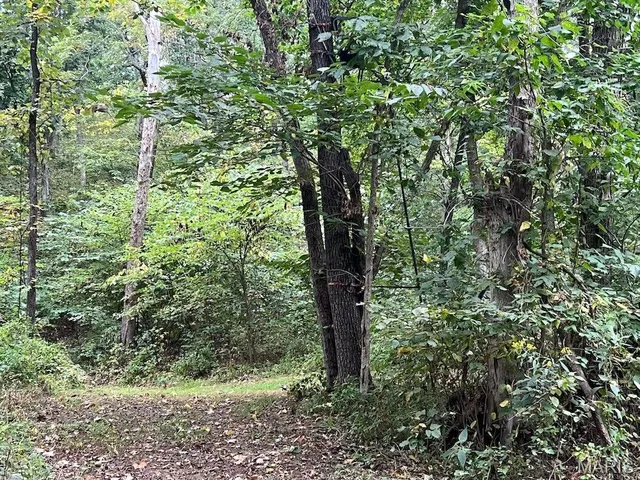 $795,000 | 2160 County Road Y, Harrisburg, MO 65256