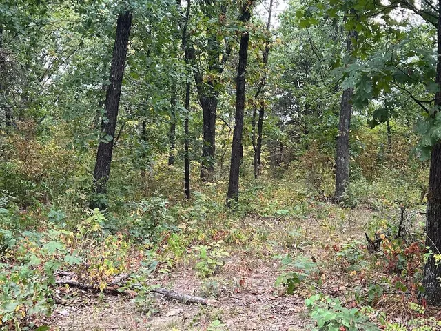 $795,000 | 2160 County Road Y, Harrisburg, MO 65256