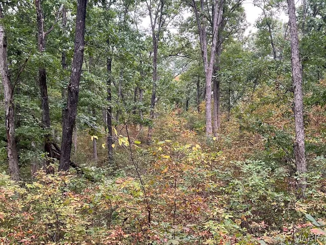 $795,000 | 2160 County Road Y, Harrisburg, MO 65256