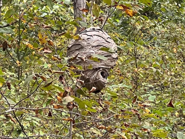 $795,000 | 2160 County Road Y, Harrisburg, MO 65256