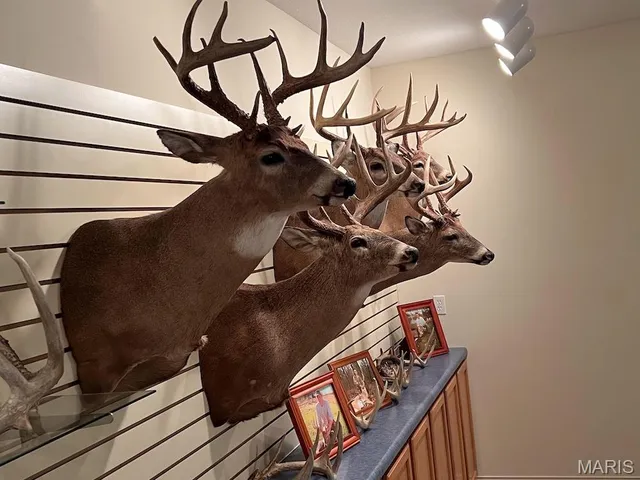 $795,000 | 2160 County Road Y, Harrisburg, MO 65256