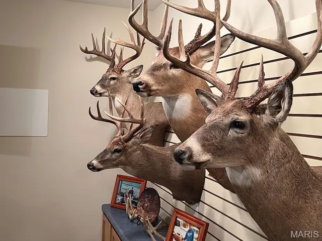 $795,000 | 2160 County Road Y, Harrisburg, MO 65256