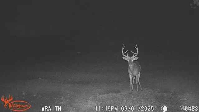 $795,000 | 2160 County Road Y, Harrisburg, MO 65256