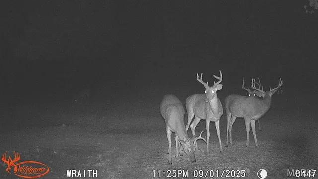 $795,000 | 2160 County Road Y, Harrisburg, MO 65256