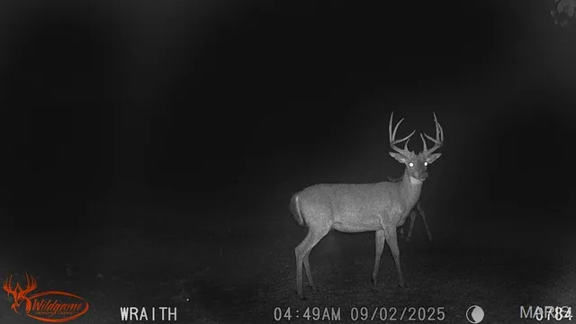 $795,000 | 2160 County Road Y, Harrisburg, MO 65256