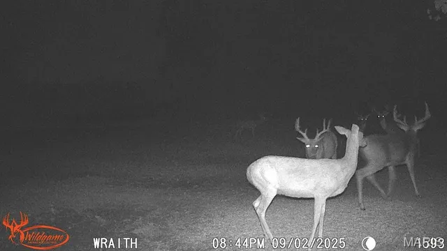 $795,000 | 2160 County Road Y, Harrisburg, MO 65256