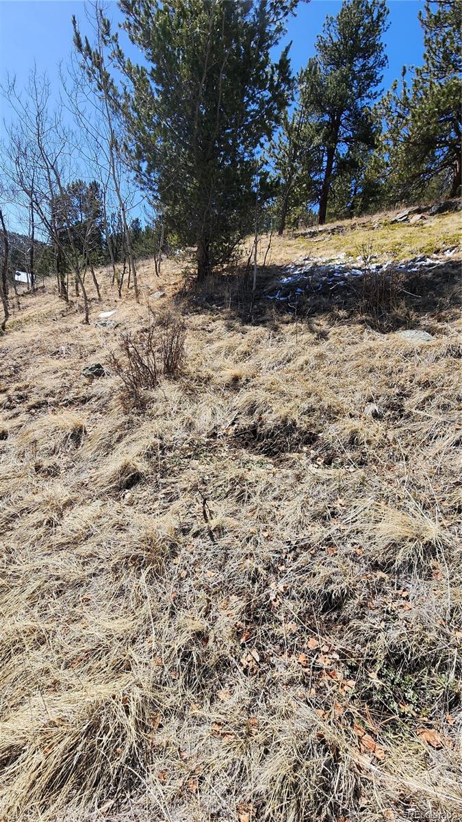 267 Ward Street Bailey, CO 80421 - Photo 4 of 13