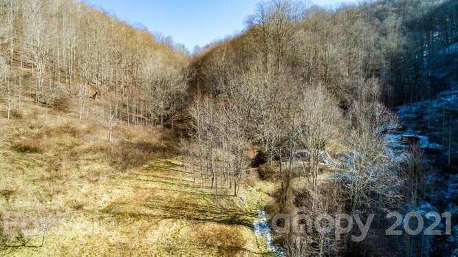 Tbd Roaring Fork Road Mars Hill, NC 28754 - Photo 1 of 40 Gallery Image 1