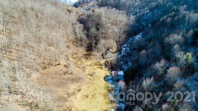 Tbd Roaring Fork Road Mars Hill, NC 28754 - Photo 15 of 40 Gallery Image 15
