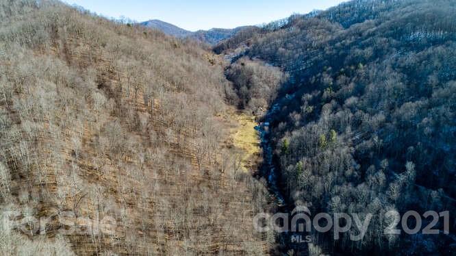 Tbd Roaring Fork Road Mars Hill, NC 28754 - Photo 3 of 40 Gallery Image 3