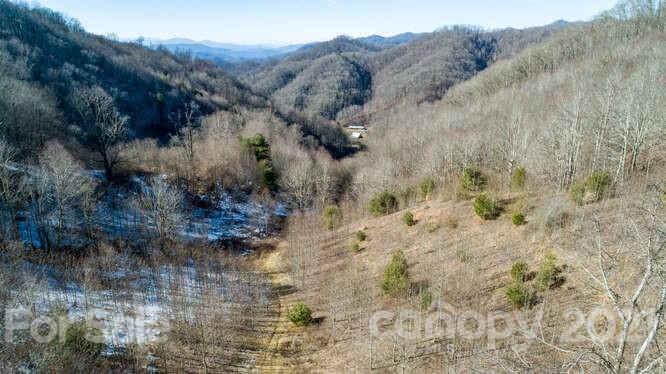 Tbd Roaring Fork Road Mars Hill, NC 28754 - Photo 25 of 40 Gallery Image 25