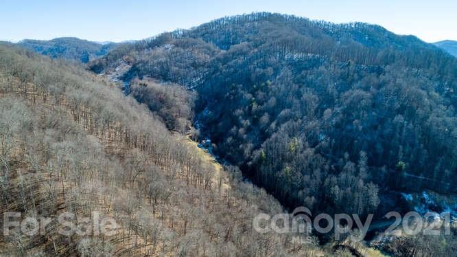 Tbd Roaring Fork Road Mars Hill, NC 28754 - Photo 4 of 40 Gallery Image 4