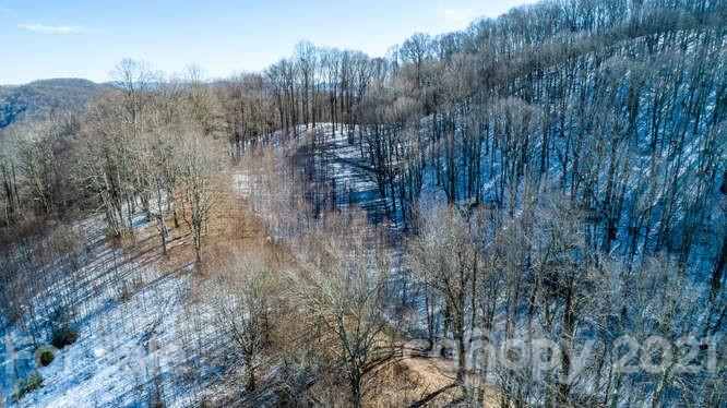 Tbd Roaring Fork Road Mars Hill, NC 28754 - Photo 31 of 40 Gallery Image 31