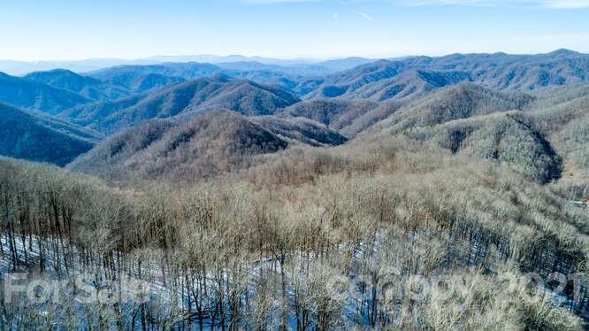 Tbd Roaring Fork Road Mars Hill, NC 28754 - Photo 32 of 40 Gallery Image 32