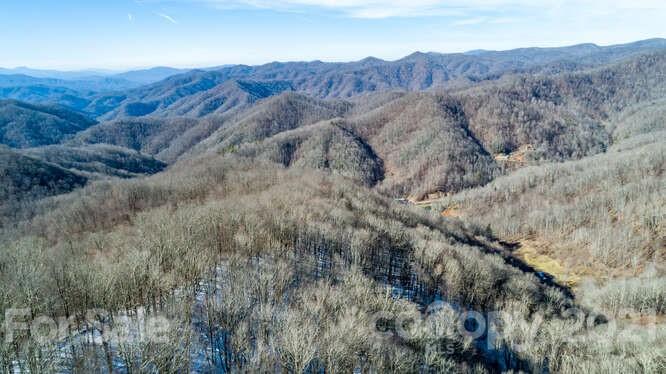Tbd Roaring Fork Road Mars Hill, NC 28754 - Photo 34 of 40 Gallery Image 34