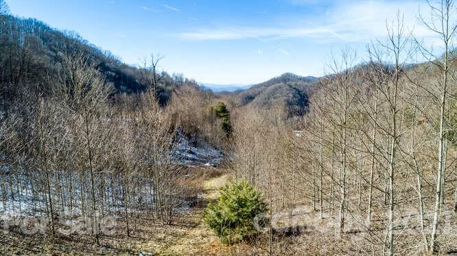 Tbd Roaring Fork Road Mars Hill, NC 28754 - Photo 40 of 40 Gallery Image 40