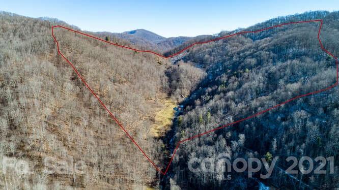 Tbd Roaring Fork Road Mars Hill, NC 28754 - Photo 5 of 40 Gallery Image 5