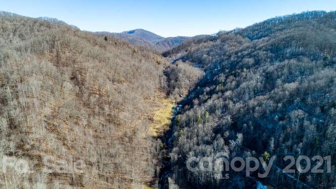 Tbd Roaring Fork Road Mars Hill, NC 28754 - Photo 6 of 40 Gallery Image 6