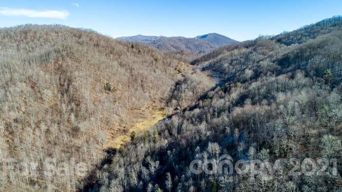 Tbd Roaring Fork Road Mars Hill, NC 28754 - Photo 8 of 40 Gallery Image 8