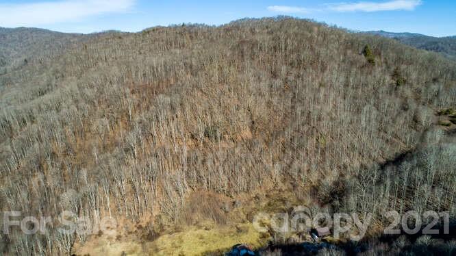Tbd Roaring Fork Road Mars Hill, NC 28754 - Photo 9 of 40 Gallery Image 9