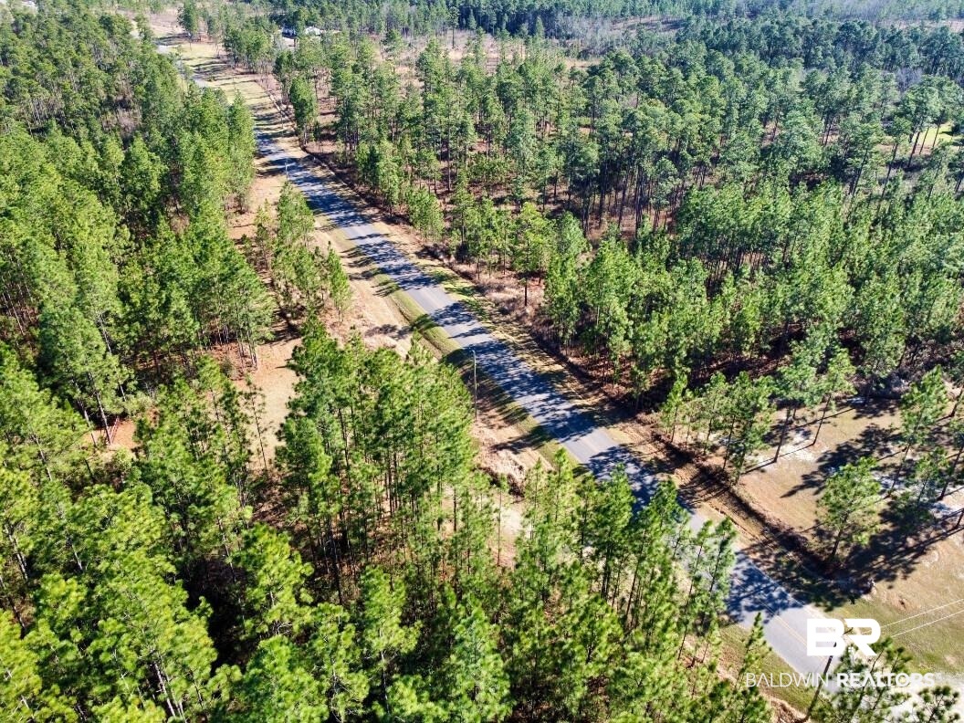 White Road Bay Minette, AL 36507 - Photo 6 of 32 Bird's eye view featuring a forest view