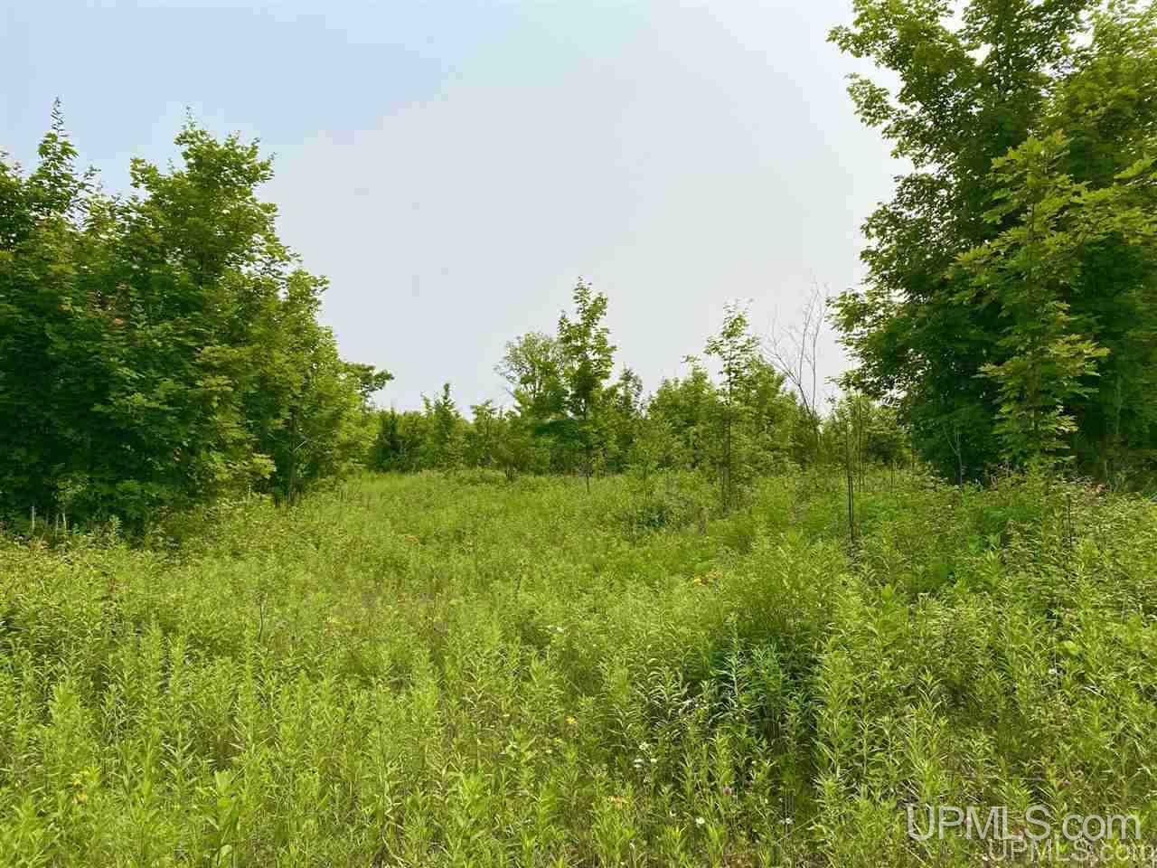 Tbd Southside Road Manistique, MI 49854 - Photo 26 of 36 Gallery Image 26