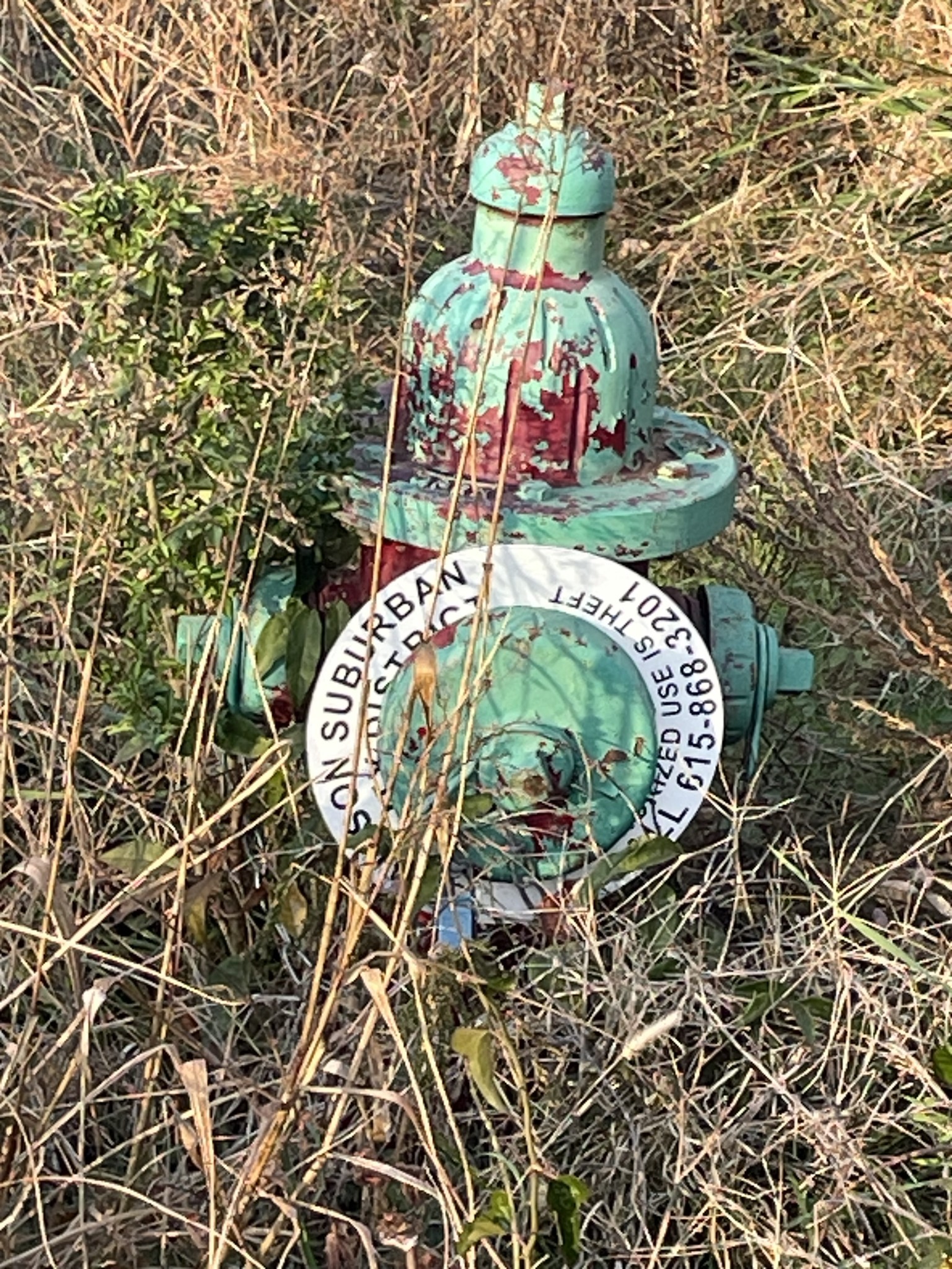 0 Pawnee Trail Madison, TN 37115 - Photo 13 of 13 a close view of water heater room with of a tree