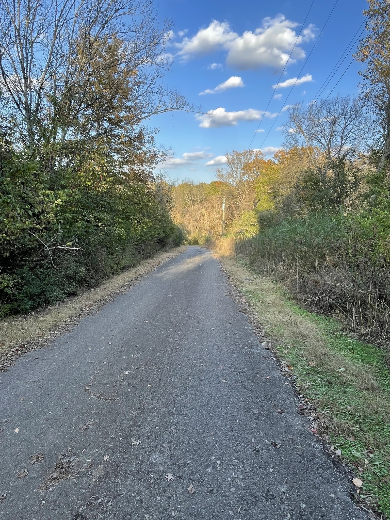 0 Pawnee Trail Madison, TN 37115 - Photo 2 of 13 a view of a yard with an trees