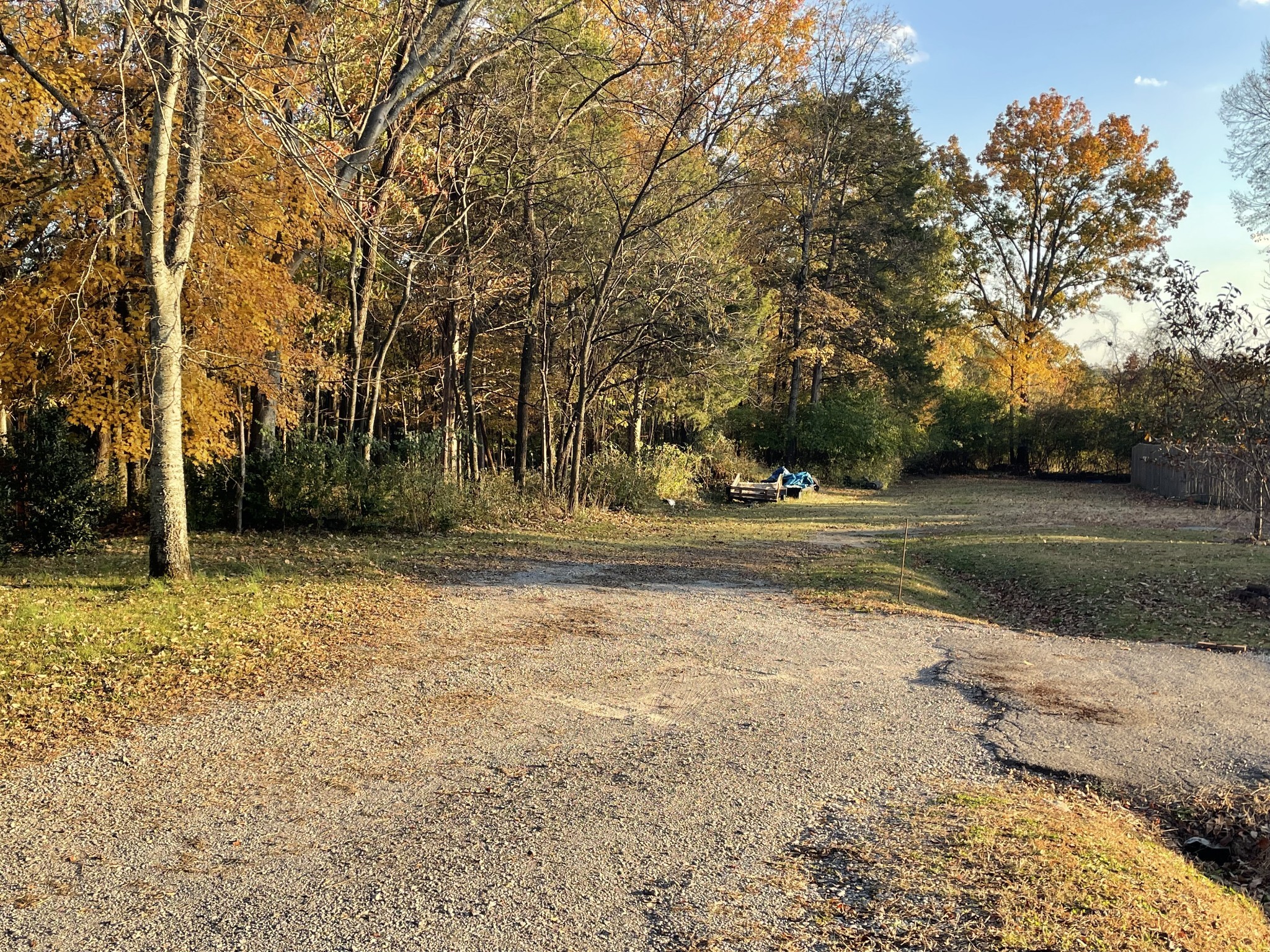 0 Pawnee Trail Madison, TN 37115 - Photo 4 of 13 a view of dirt yard with green space