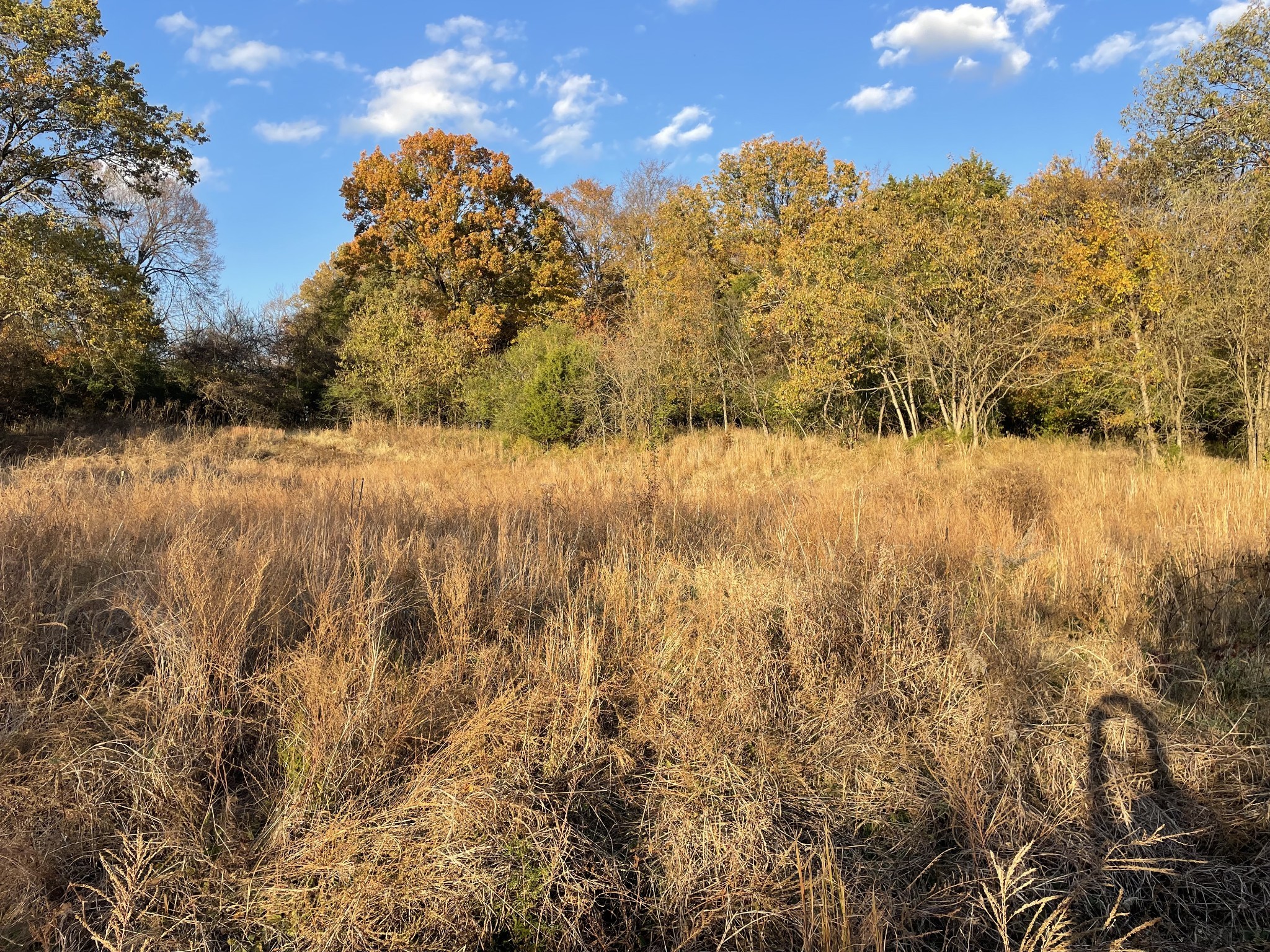 0 Pawnee Trail Madison, TN 37115 - Photo 7 of 13 a view of lake view with lots of trees