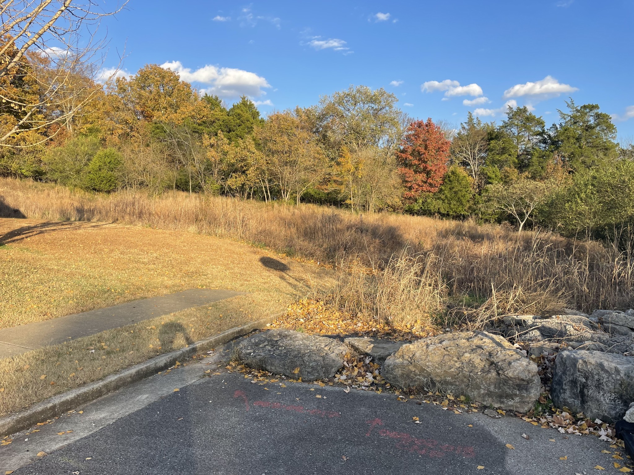 0 Pawnee Trail Madison, TN 37115 - Photo 10 of 13 a view of beach and covered with snow