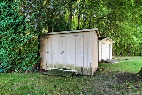 a backyard of a house with plants and large trees
