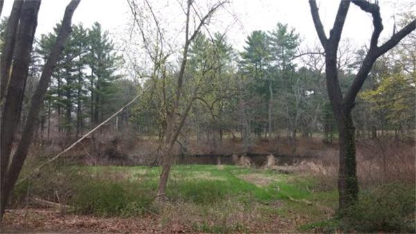 19 Boulevard Road Wellesley, MA 02481 - Photo 4 of 9