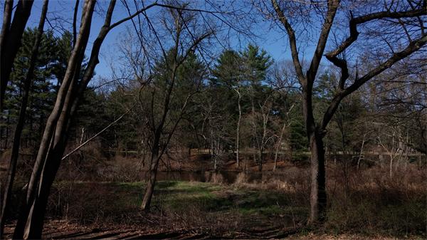 19 Boulevard Road Wellesley, MA 02481 - Photo 6 of 9