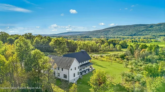 a view of a large yard with plants and large trees