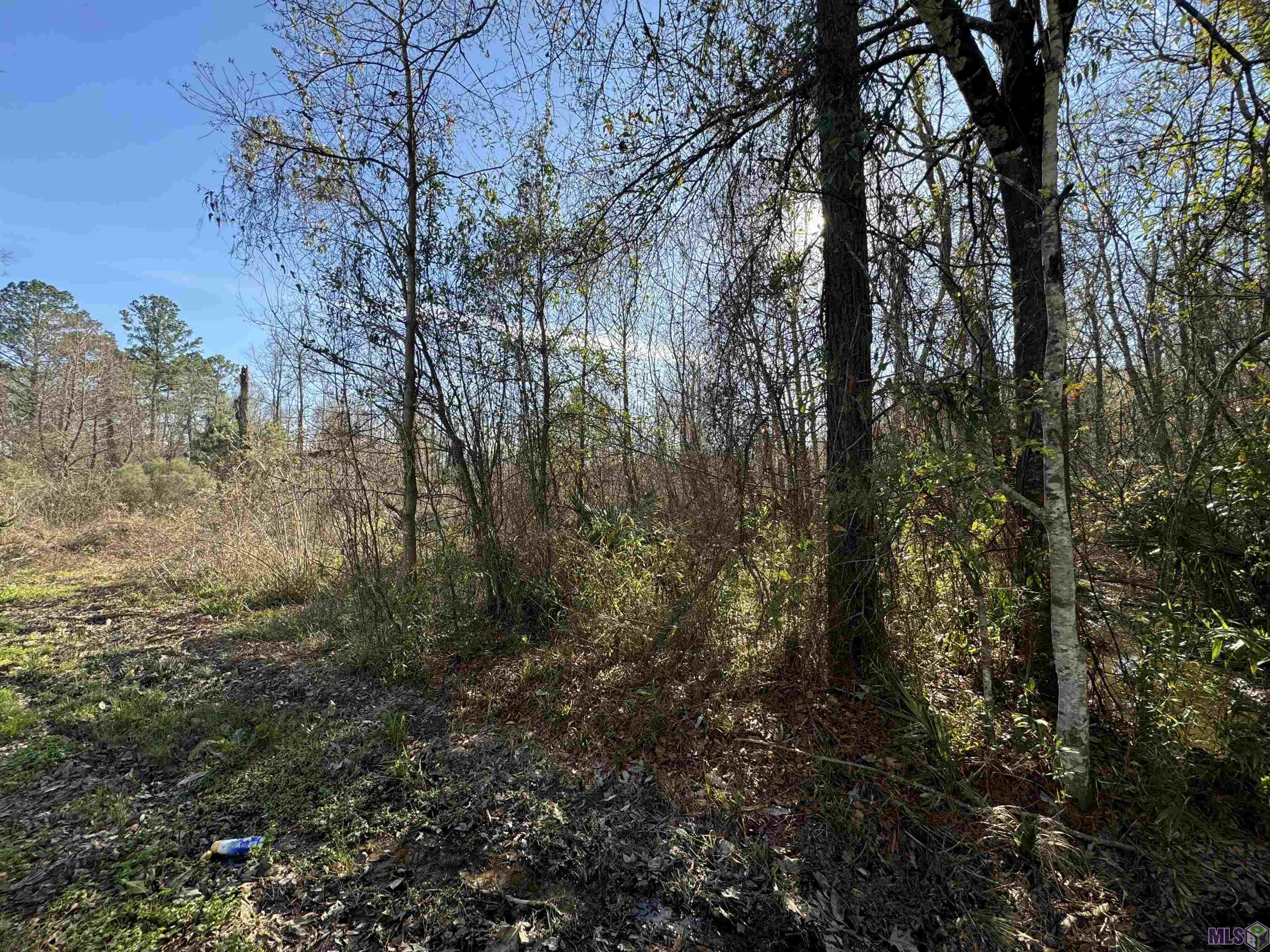 Lot 4 Joe Lee Road Walker, LA 70785 - Photo 4 of 5