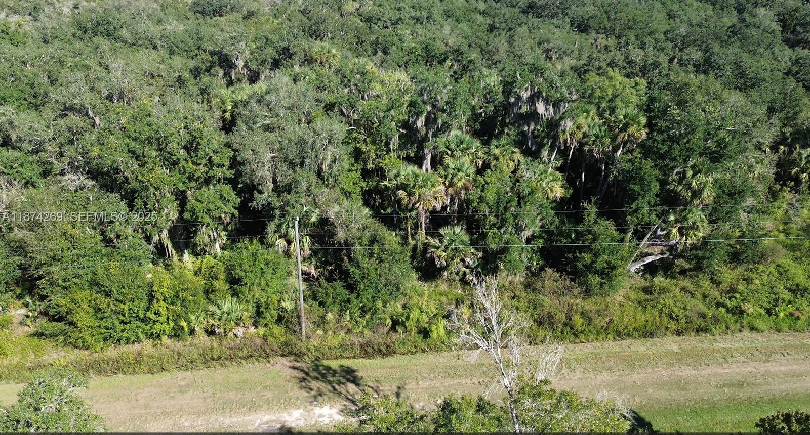 21229 Northwest 252nd Street Okeechobee, FL 34972 - Photo 11 of 12