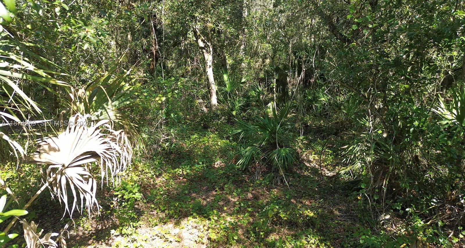 21229 Northwest 252nd Street Okeechobee, FL 34972 - Photo 12 of 12