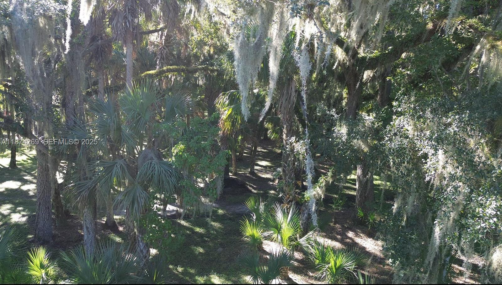 21229 Northwest 252nd Street Okeechobee, FL 34972 - Photo 4 of 12