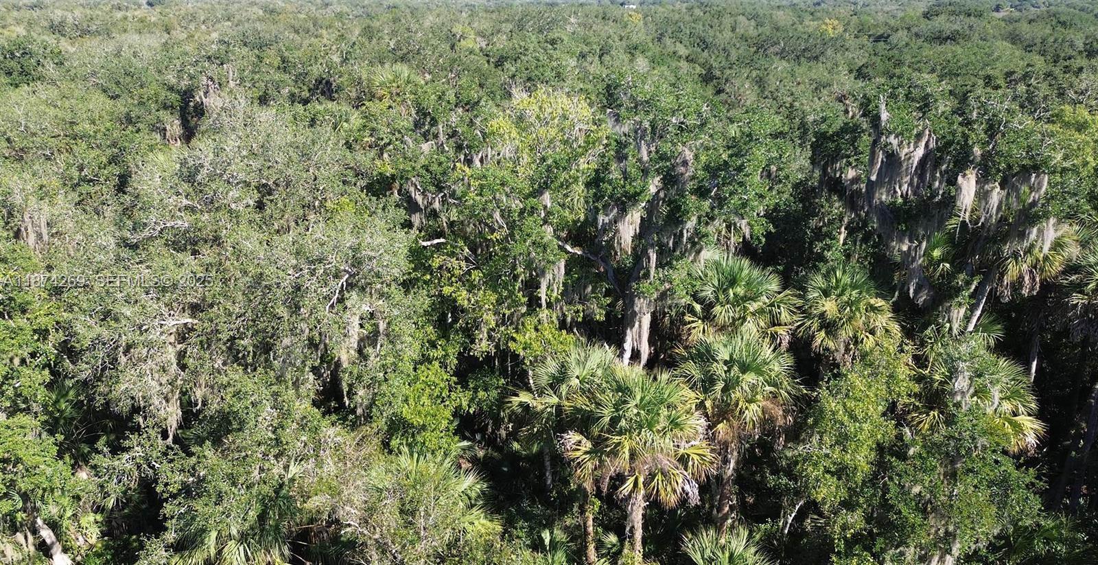 21229 Northwest 252nd Street Okeechobee, FL 34972 - Photo 9 of 12