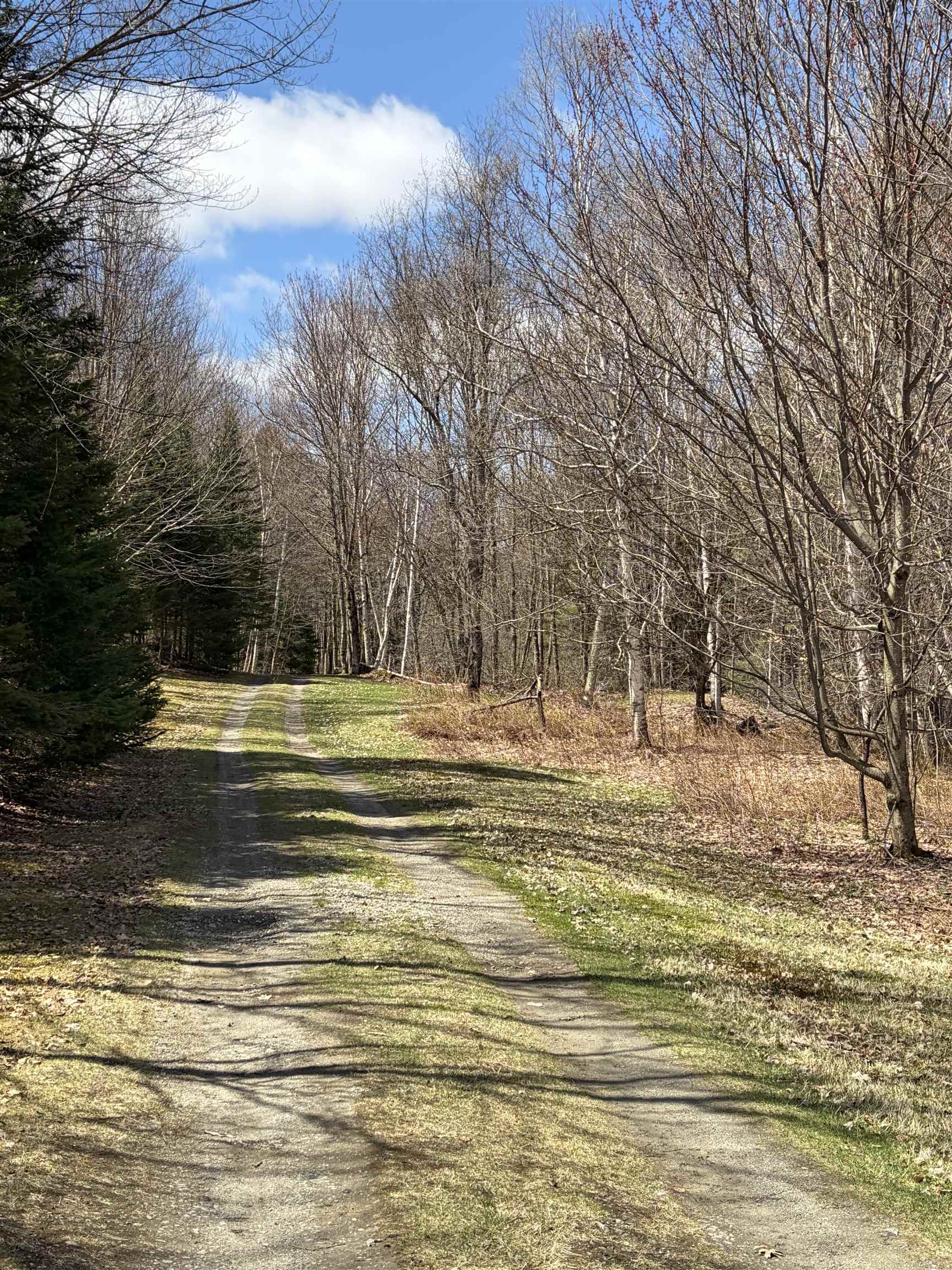 36 Mountain Road Dalton, NH 03598 - Photo 48 of 53