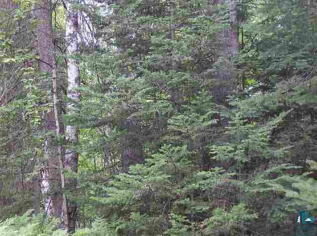 17545 Swedlund Road Herbster, WI 54844 - Photo 2 of 5 Gallery Image 2