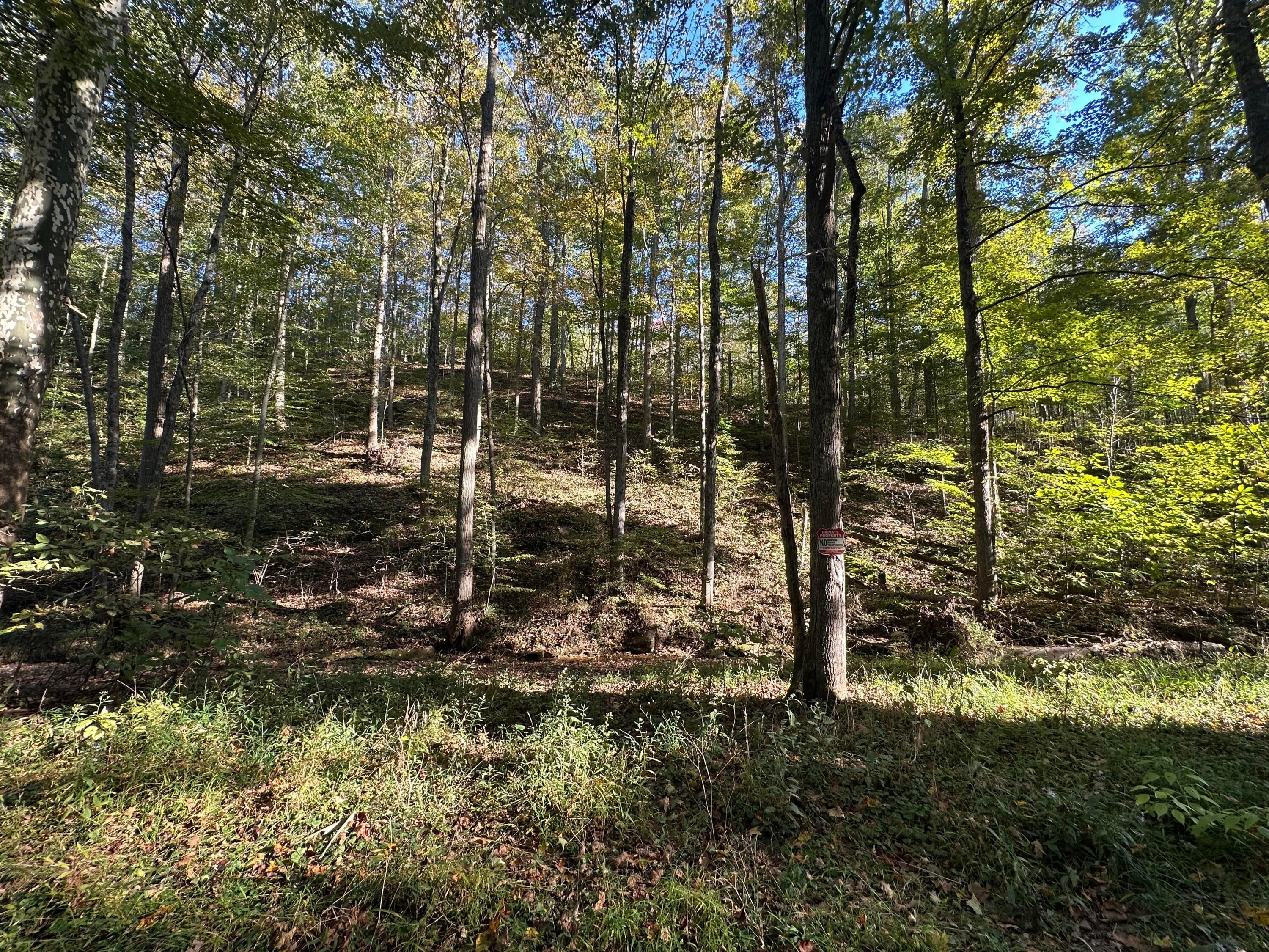 39454 Boston Reedsville, OH 45772 - Photo 8 of 37