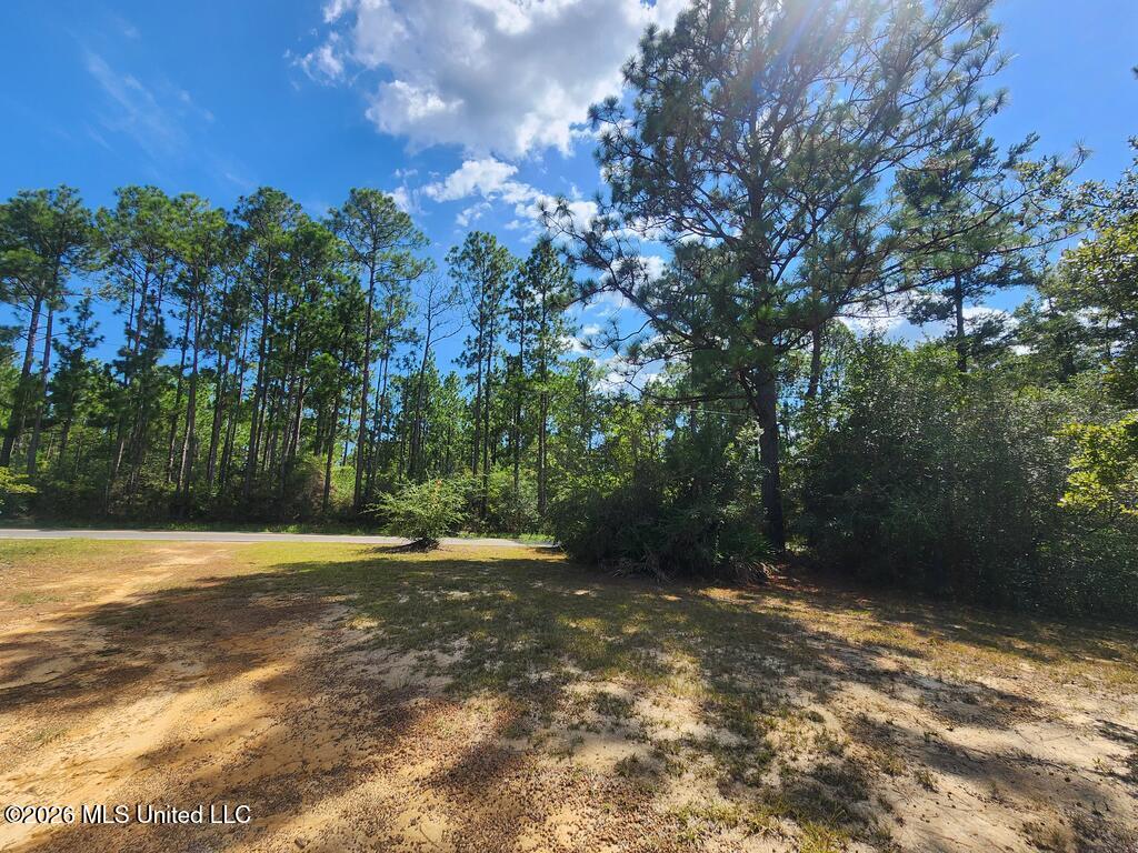 16509 McGregor Road Vancleave, MS 39565 - Photo 4 of 7 189220_3