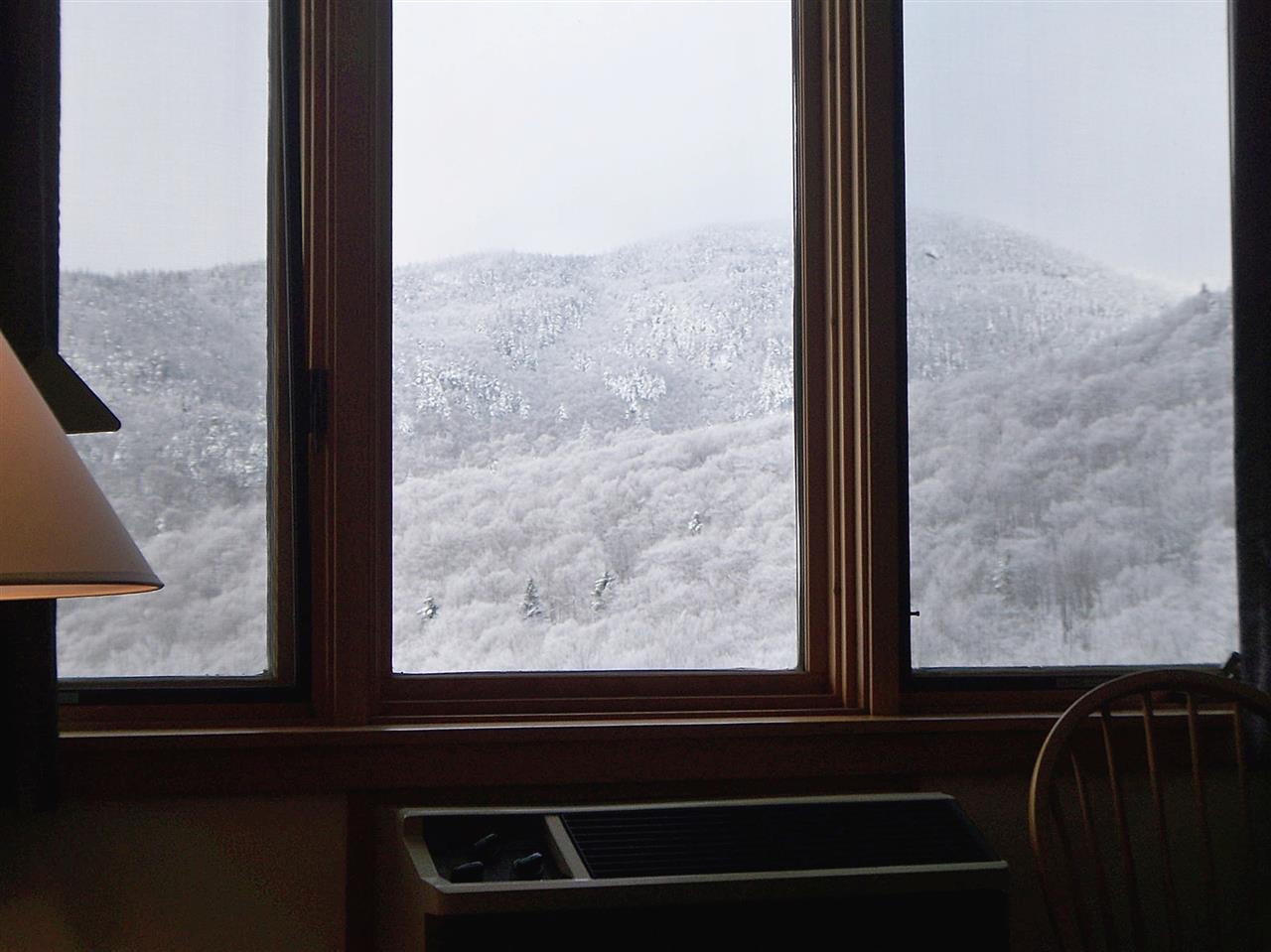 4302 Bolton Valley Access Road, Unit 384 & 386 Bolton, VT 05477 - Photo 3 of 20 Gallery Image 3