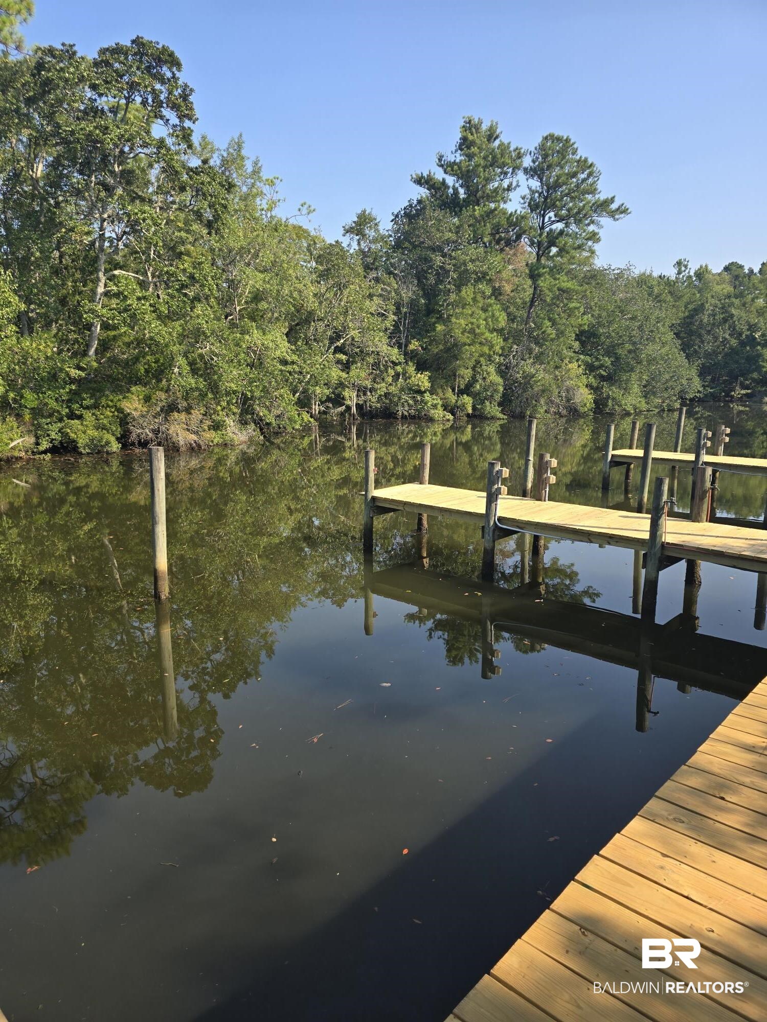 4055 Riviere Du Chien Road Mobile, AL 36693 - Photo 47 of 63 Dock area featuring a water view