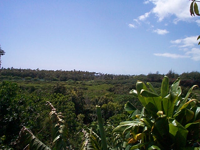 4865 Nonou Road Kapaa, HI 96746 - Photo 2 of 3