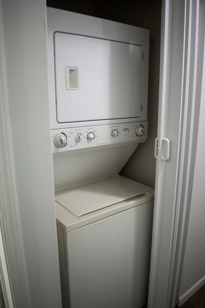 752 East 43rd Street, Unit 2E Chicago, IL 60653 - Photo 15 of 16 a close up view of washer and dryer
