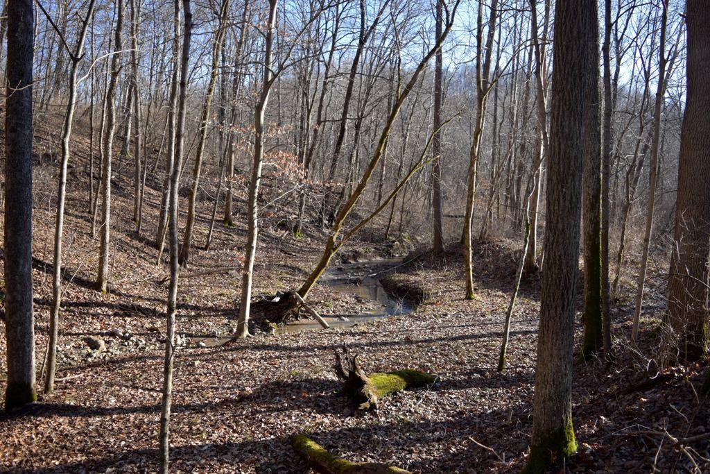 20333 Mission Road Amesville, OH 45711 - Photo 15 of 45