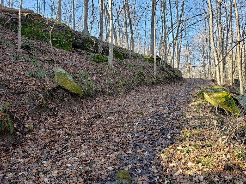 20333 Mission Road Amesville, OH 45711 - Photo 2 of 45